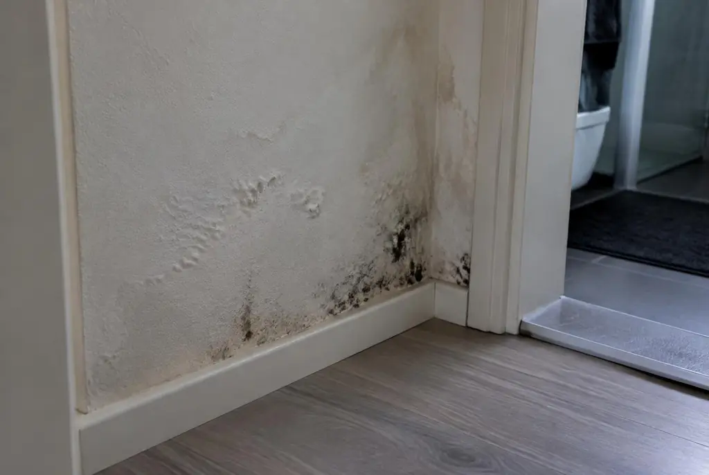 Lekdetectie Nijkerk – vochtplek met schimmel op een muur